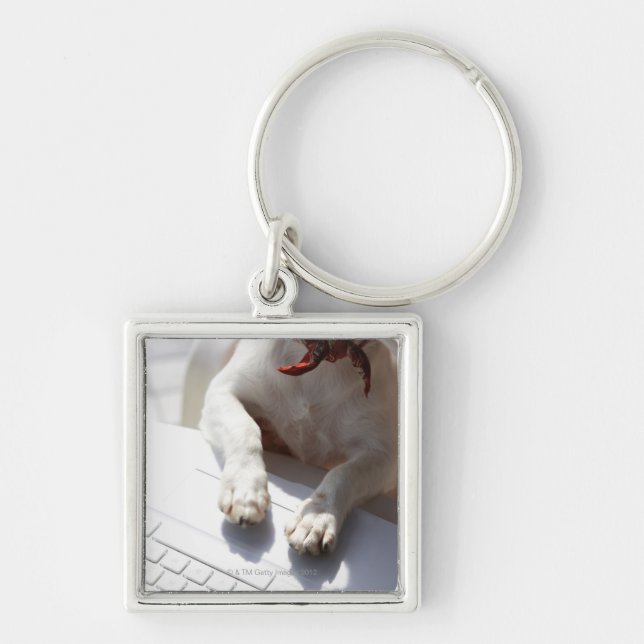 Dog putting his hands on a laptop keychain (Front)