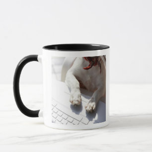 Dog putting his hands on a laptop mug