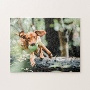 Dog Puzzles Animal Pic Cute Sad Puppy Puppy Photog