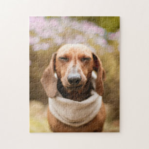 Dog Puzzles Animal Pic Cute Sad Puppy Puppy Photog