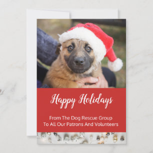 Dog Rescue Group Holiday Business Card