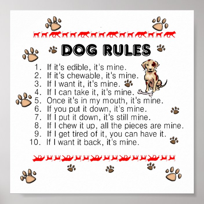 Dog Rules Poster Zazzle.ca