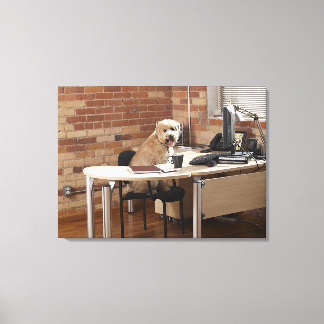 Dog Sitting at Desk Canvas Print (Front)