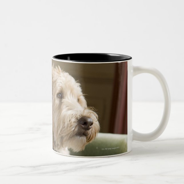 Dog sitting in armchair Two-Tone coffee mug (Right)