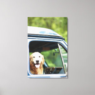 Dog Sitting in Car Canvas Print