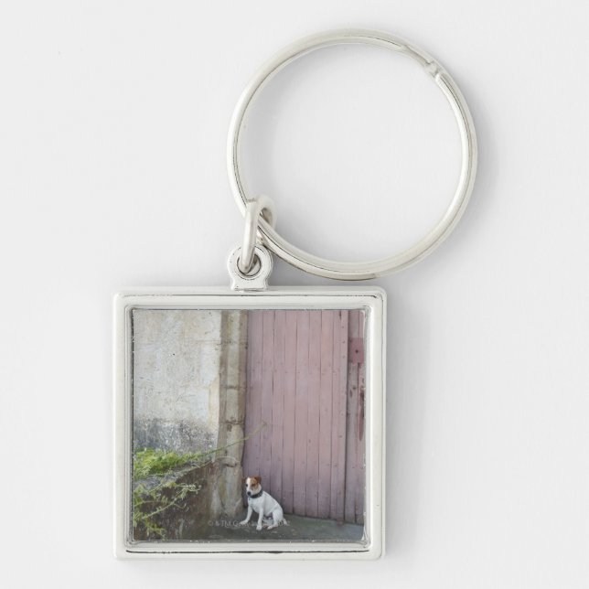 Dog sitting in front of closed doors keychain (Front)