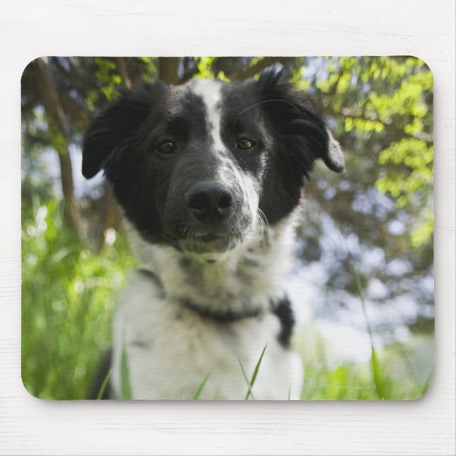 Dog sitting in grass mouse pad (Front)