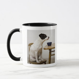 Dog sitting on a chair in front of a bowl on the mug