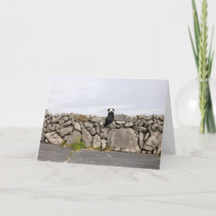 Dog sitting on a traditional Irish stone wall on Card