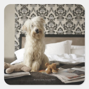 Dog sitting on bed with soft toys and newspaper square sticker