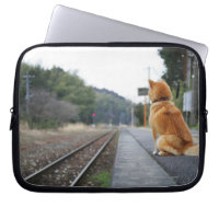 Dog sitting on train station
