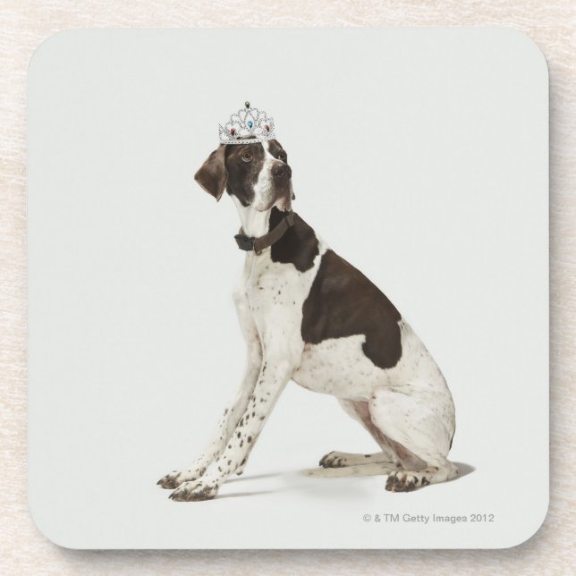 Dog sitting with a tiara on head coaster (Front)