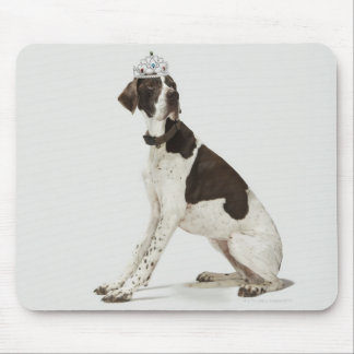 Dog sitting with a tiara on head mouse pad