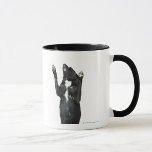 Dog sitting with paws up mug