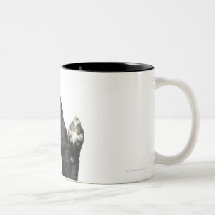 Dog sitting with paws up Two-Tone coffee mug