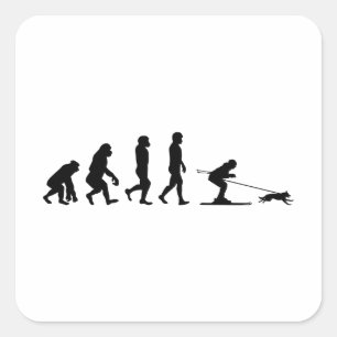 Dog Skijoring Extreme Winter Sport Ski Evolution Square Sticker