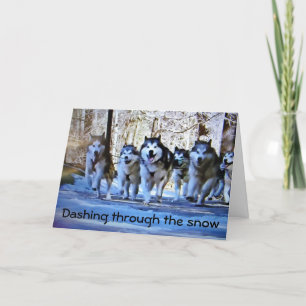 DOG SLED DASHING THRU SNOW FOR CHRISTMAS HOLIDAY CARD