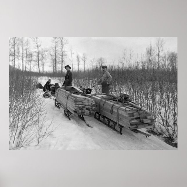 Dog Sled Delivery: 1900 Poster (Front)