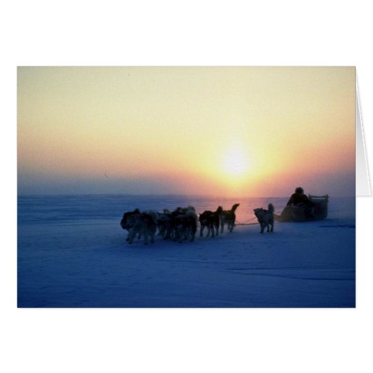 Dog sled travel at 45 degrees Celsius, Baffin Isla Card