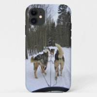 Dog Sledding in Quebec, Canada