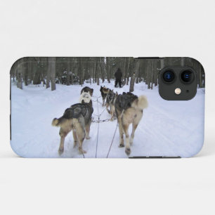 Dog Sledding in Quebec, Canada iPhone 11 Case