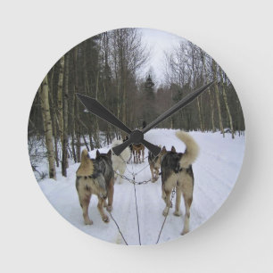 Dog Sledding in Quebec, Canada Round Clock