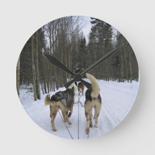 Dog Sledding in Quebec, Canada Round Clock