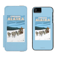 Dog Sledding Scene - Cordova, Alaska