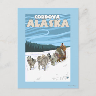 Dog Sledding Scene - Cordova, Alaska Postcard