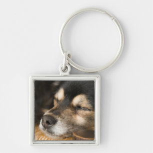 Dog sleeping 2 keychain