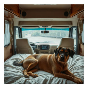 Dog Sleeping in Cozy RV Interior Poster