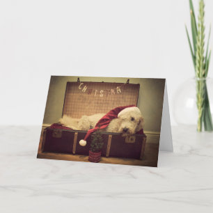 Dog sleeping in suitcase holiday card