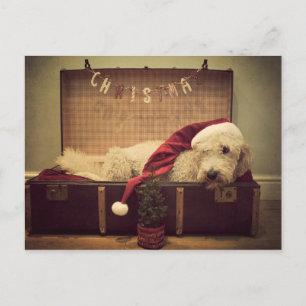 Dog sleeping in suitcase holiday postcard