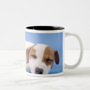 Dog sleeping Two-Tone coffee mug