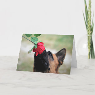 Dog Smelling a Rose Holiday Card