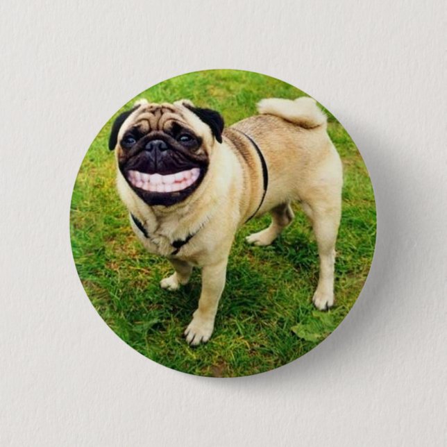 dog smile pug cute 2 inch round button (Front)