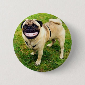 dog smile pug cute 2 inch round button