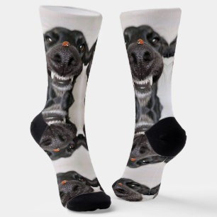 Dog Socks