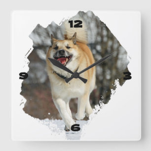 dog square wall clock
