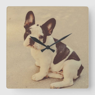 Dog Square Wall Clock