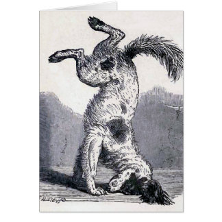 "Dog Standing on his Head"