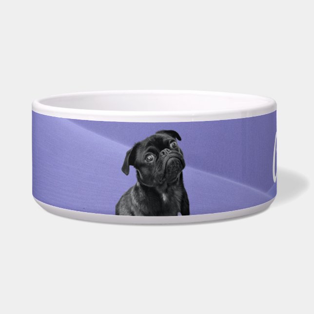 Dog Supplies (Left)