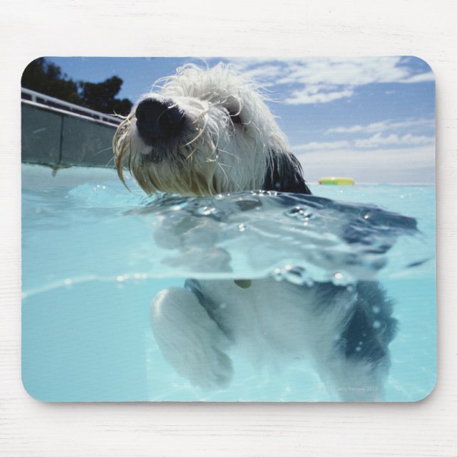 Dog Swimming in a Swimming Pool Mouse Pad (Front)