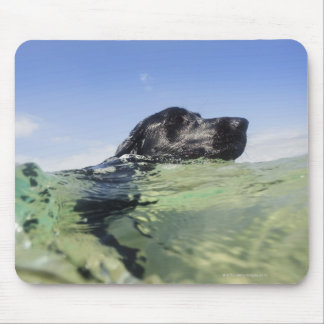Dog swimming in water mouse pad
