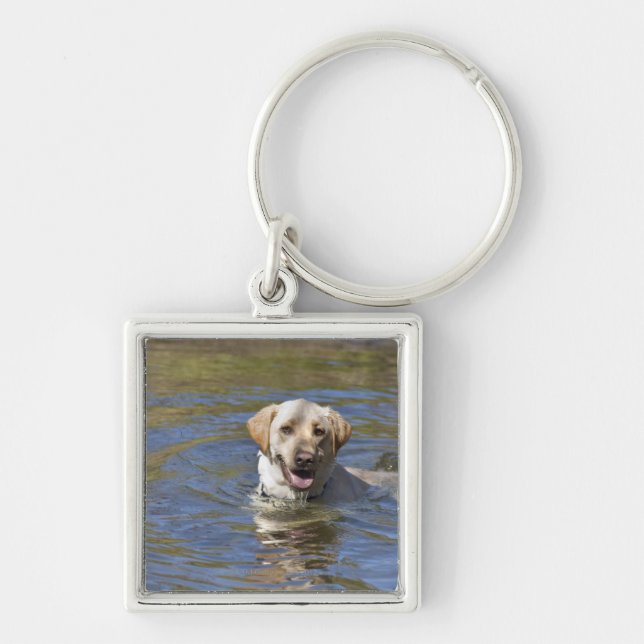 Dog swimming keychain (Front)