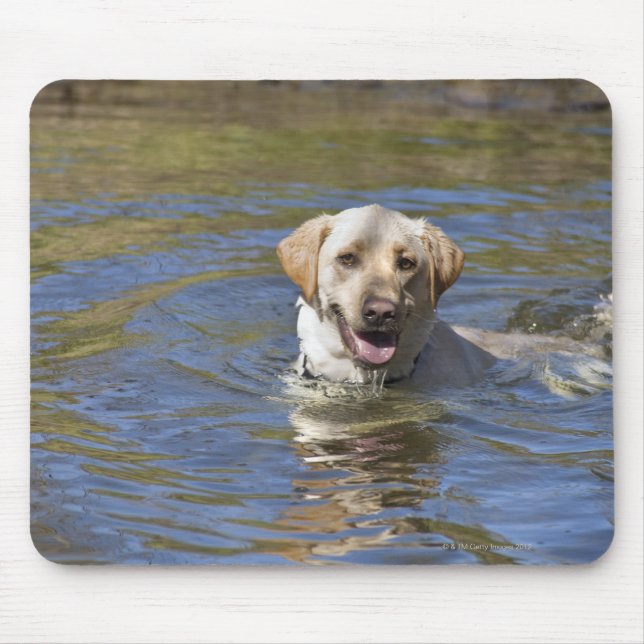 Dog swimming mouse pad (Front)