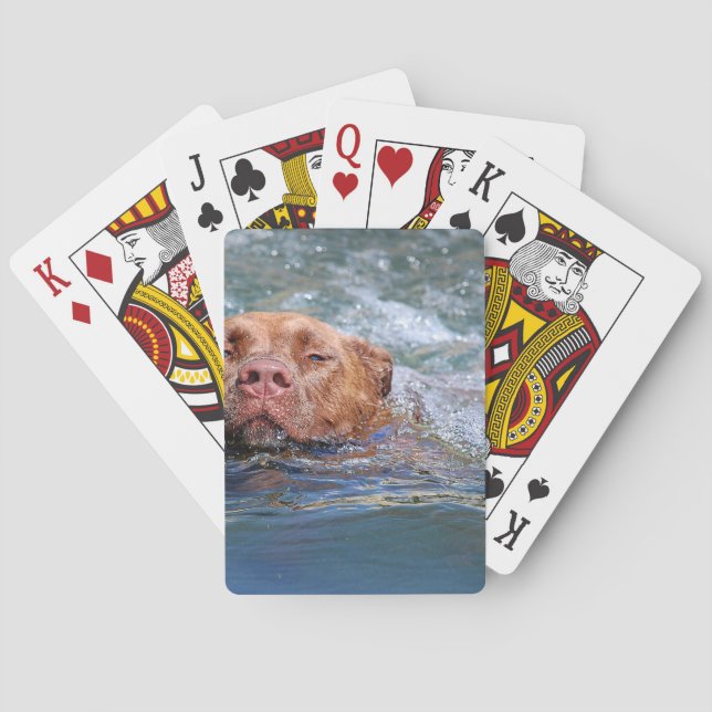 Dog Swimming Playing Cards (Back)