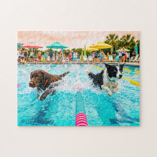 Dog swimming race jigsaw puzzle