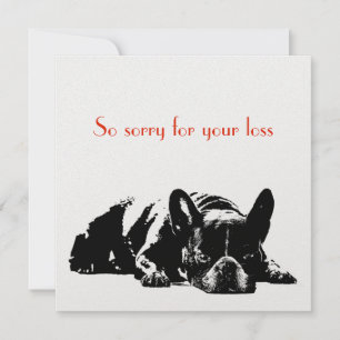 Dog Sympathy