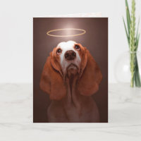 Dog Sympathy—Basset Hound Sympathy Card